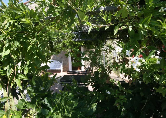 Le Coste Casa Vacanze